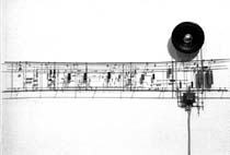 Vogel Image 3
